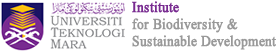 IBSD Innovation 2025